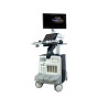 GE Logiq 310 Ultrasound Machine